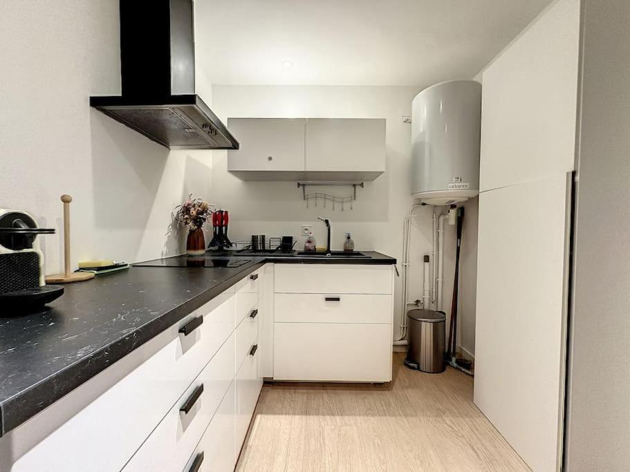 La Suite Duhamel - Au Pied De La Gare - Au Calme Rennes Esterno foto